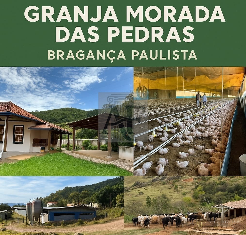 Rural em Guaripocaba dos Souzas